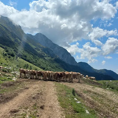 Hisa Za Gradom Kobarid