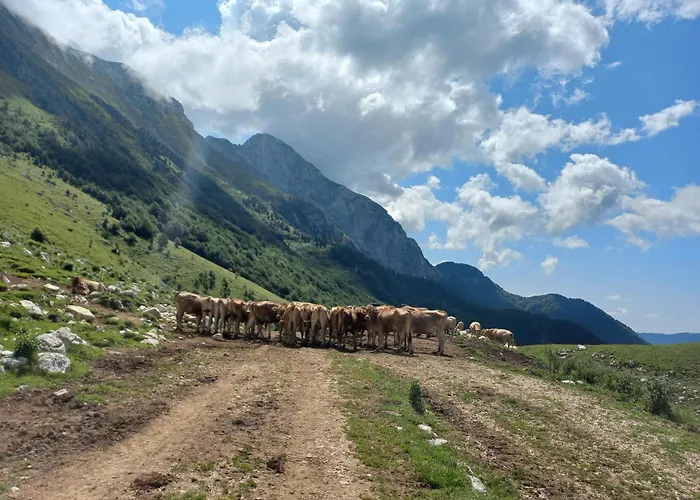 Hisa Za Gradom 科巴里德